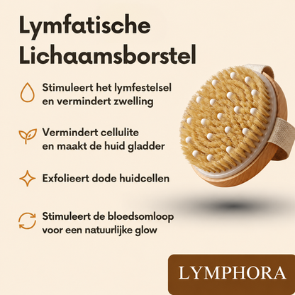 Lymfatische lichaamsborstel